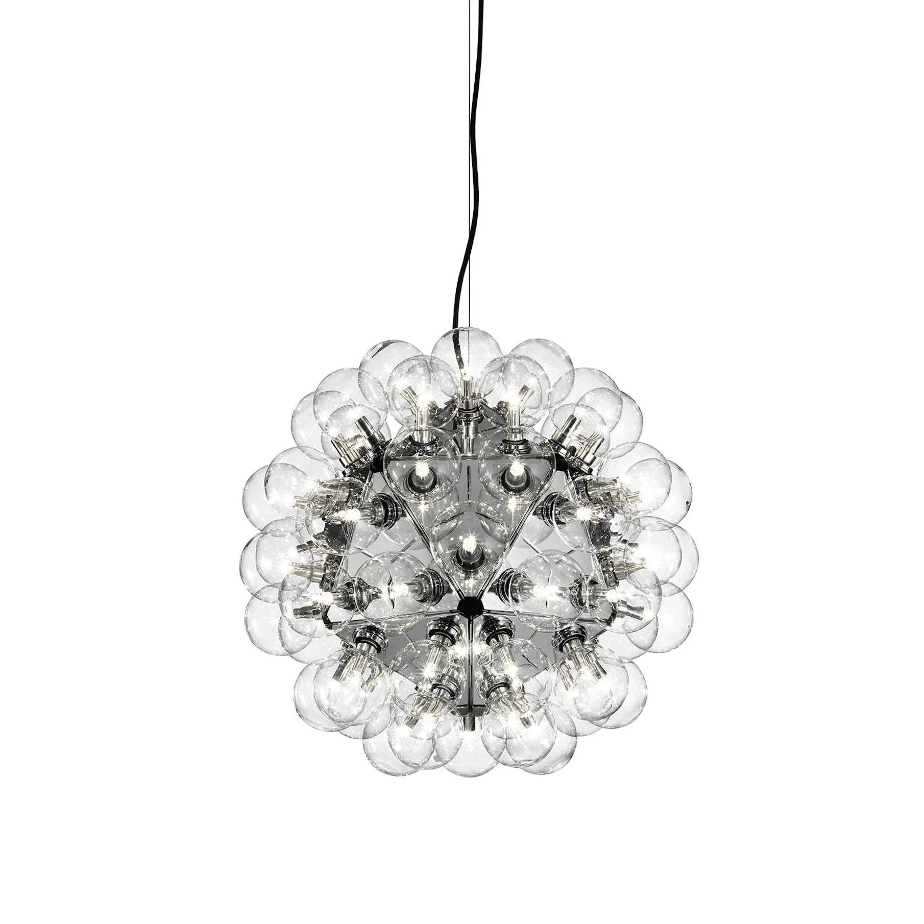 Taraxacum 88 Suspension