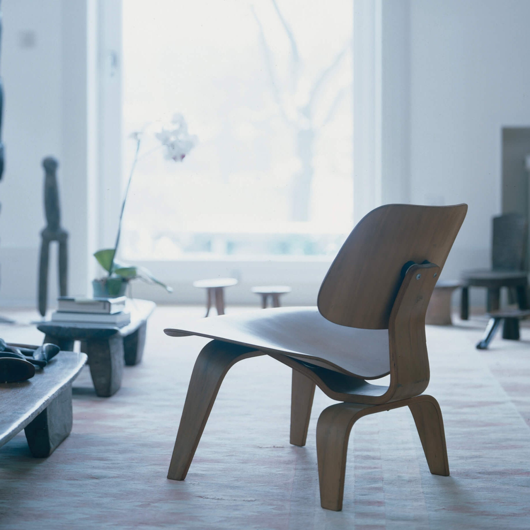Plywood Group LCW