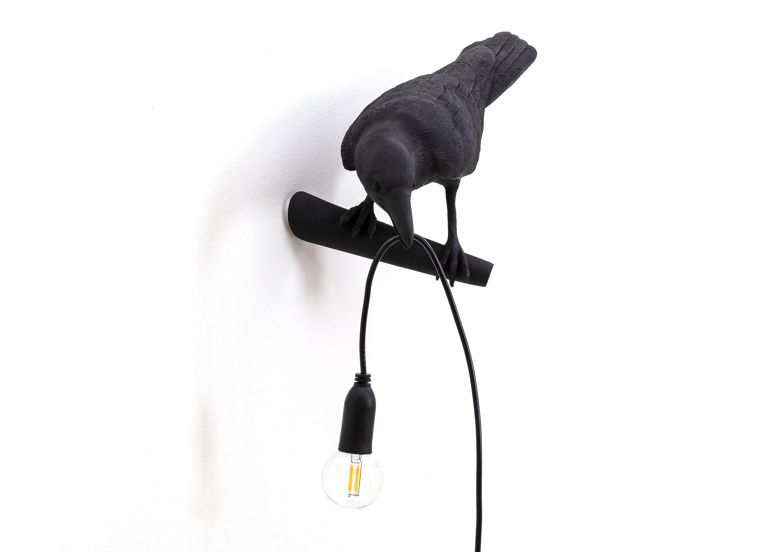 Bird Lamp Looking Wandleuchte