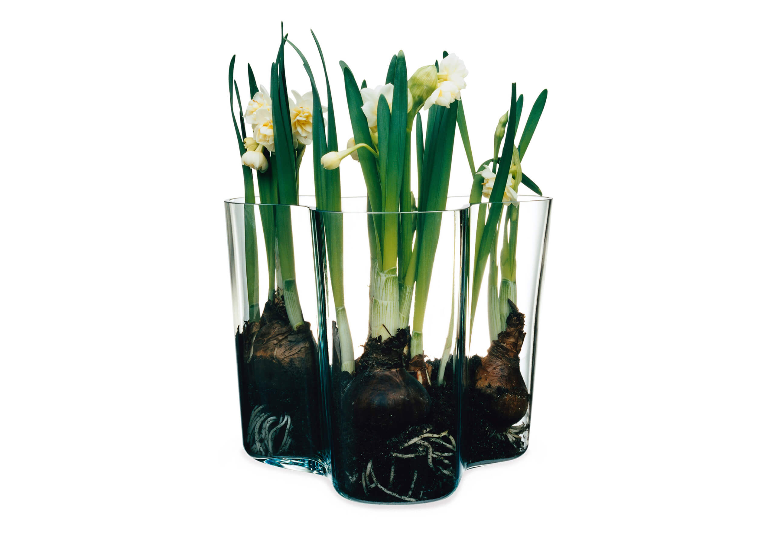 Aalto Vase klein