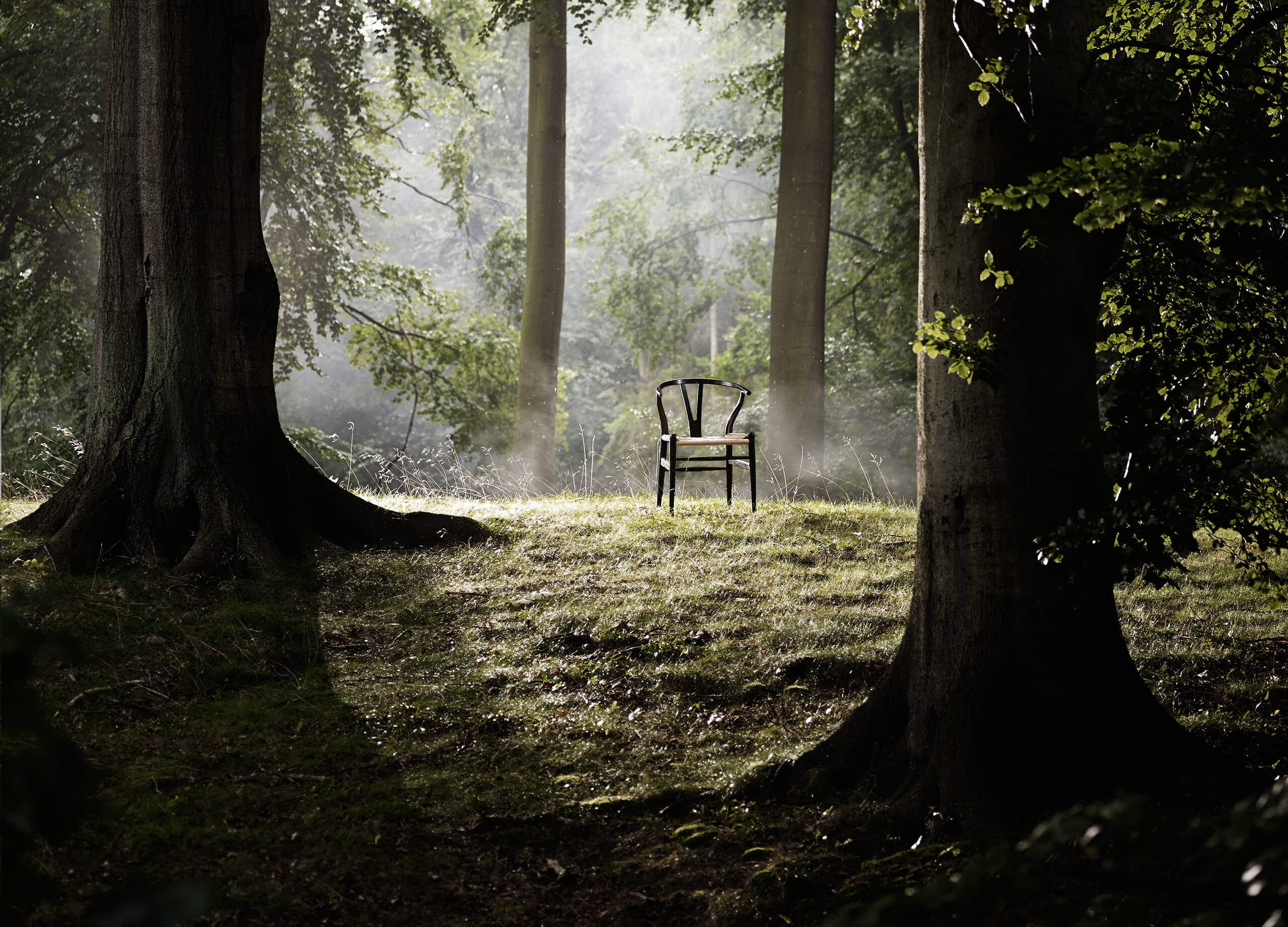 CH24 Wishbone Chair