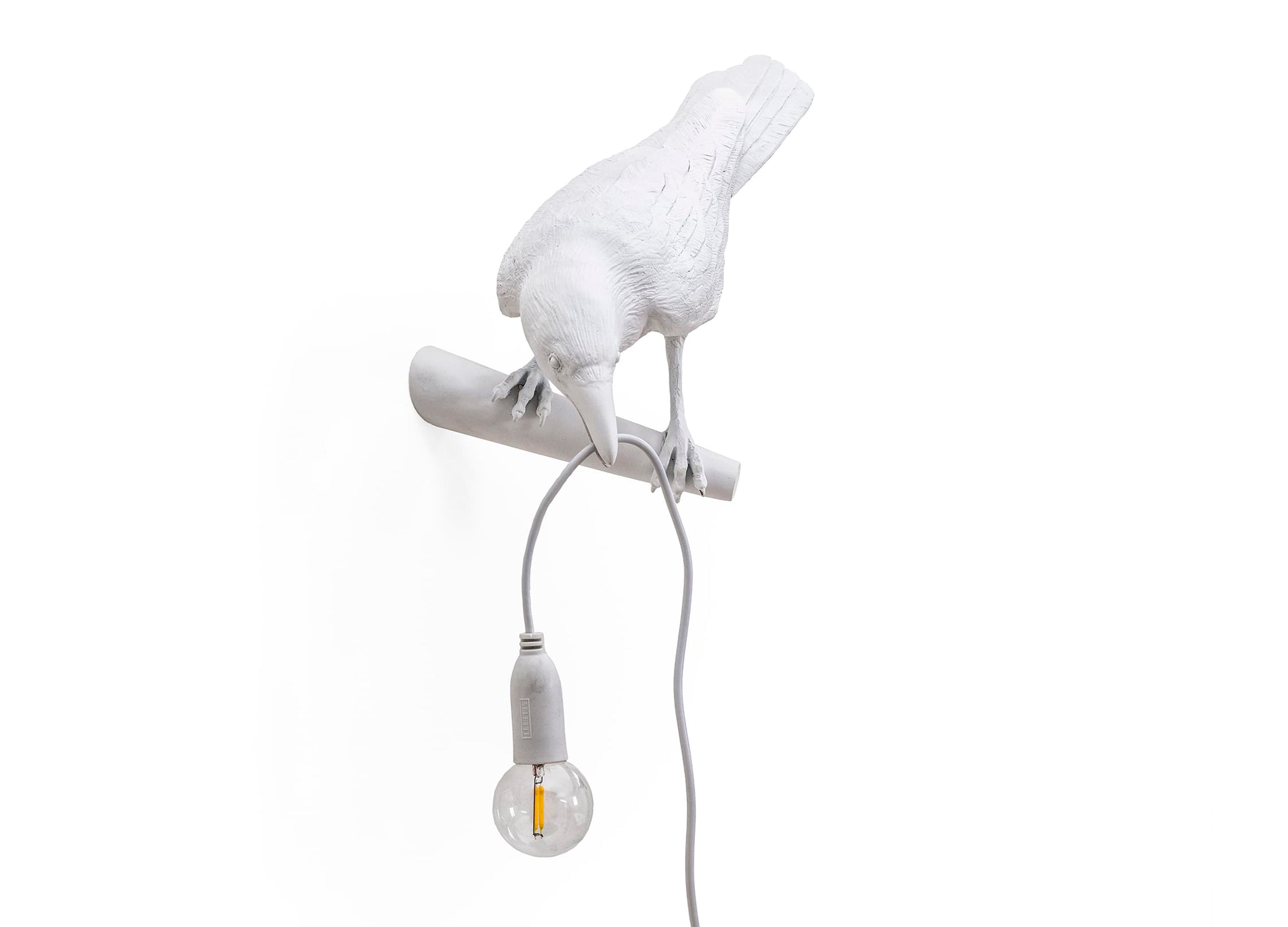 Bird Lamp Looking Wandleuchte