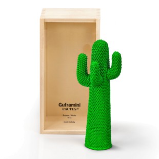 Gruframini Cactus
